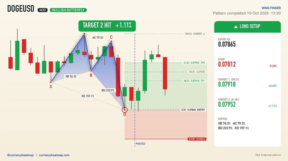 DOGEUSD recorded result card
